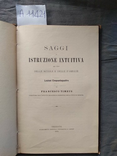 Saggi istruzione intuitiva - saggi,